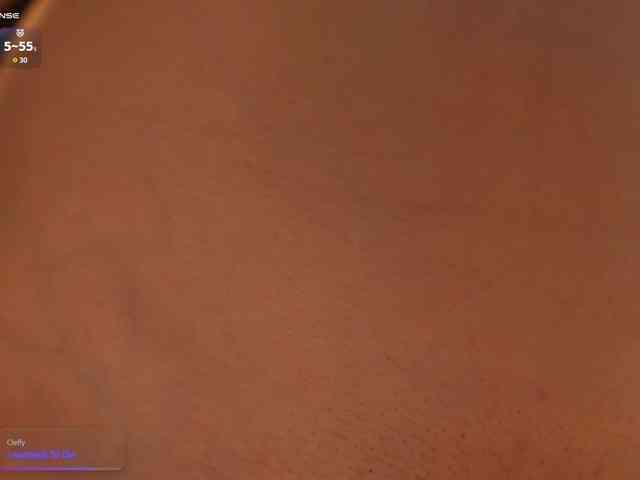 arimass webcam