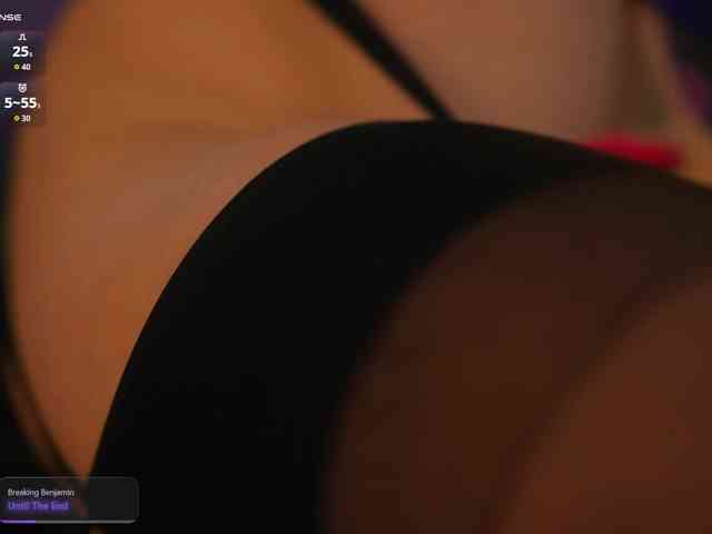 arimass webcam