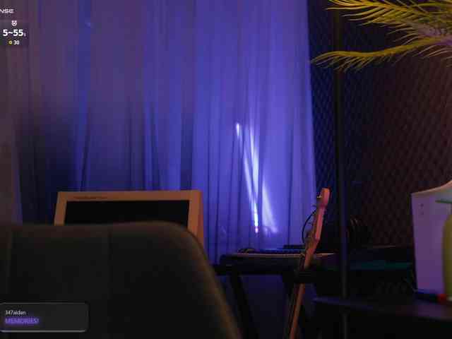 arimass webcam