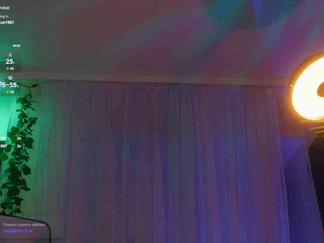 arimass webcam
