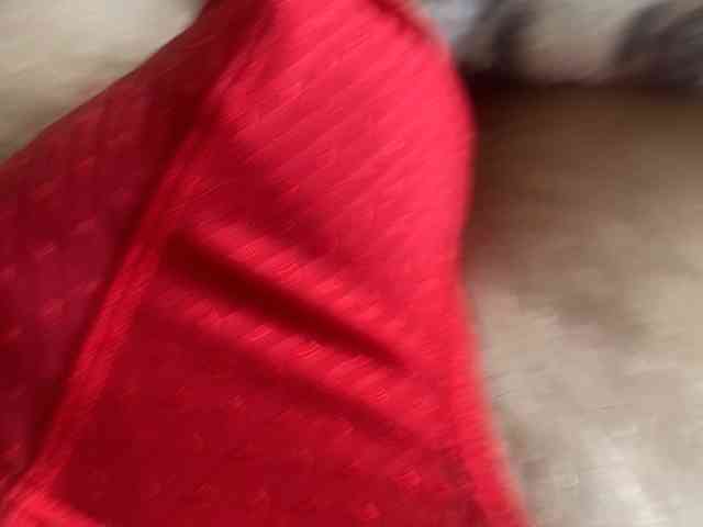 Parenek_22