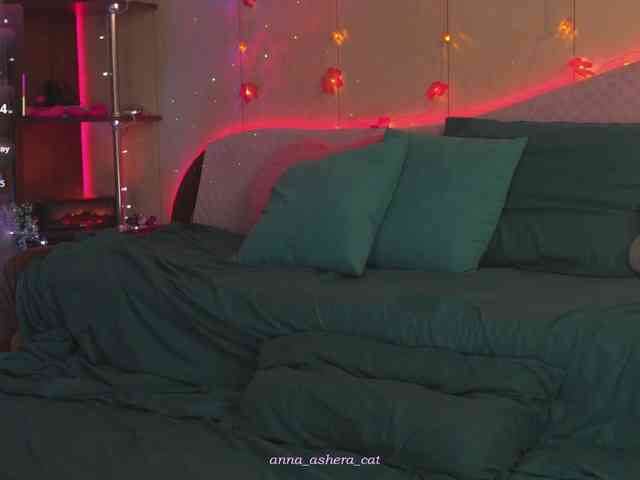 AsheraCat webcam