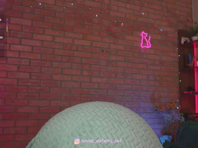 AsheraCat webcam