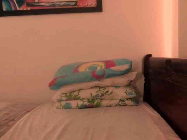 Lucypalmax webcam