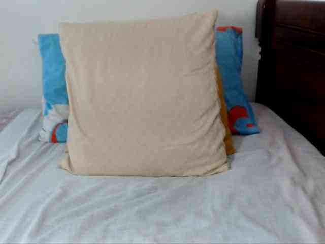 Lucypalmax webcam