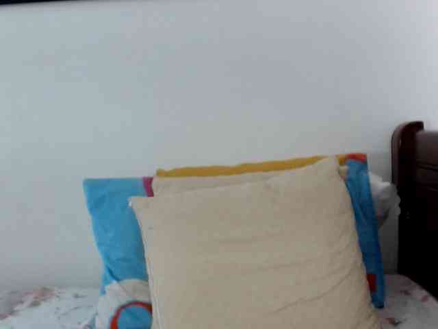 Lucypalmax webcam