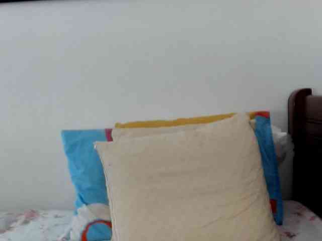 Lucypalmax webcam