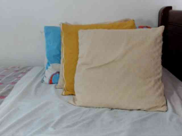 Lucypalmax webcam