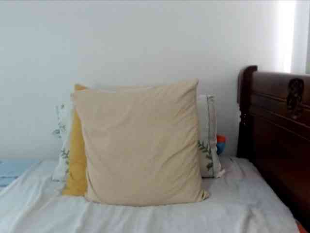 Lucypalmax webcam