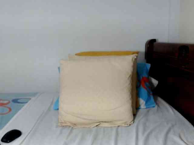 Lucypalmax webcam