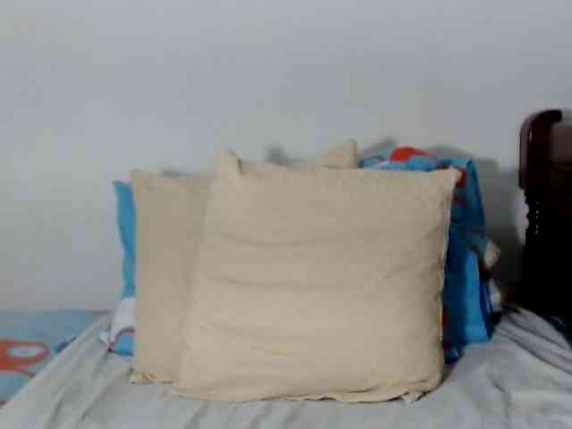 Lucypalmax Lucypalmax
