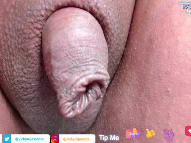 1Hermaprodite