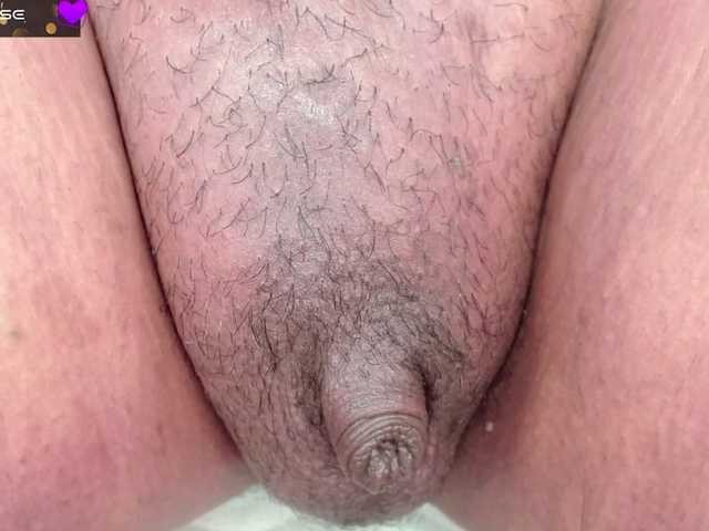 1Hermaprodite