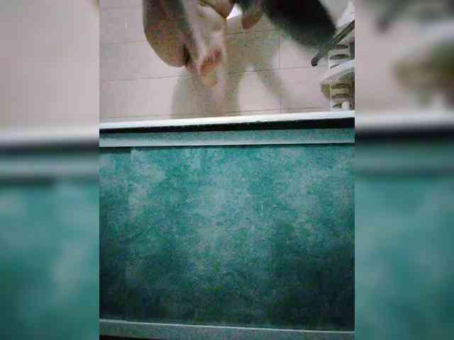 Modelo: ---Nastya---