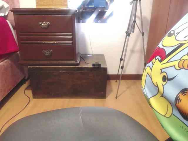 zoedoll webcam