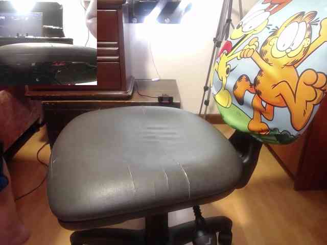 zoedoll webcam