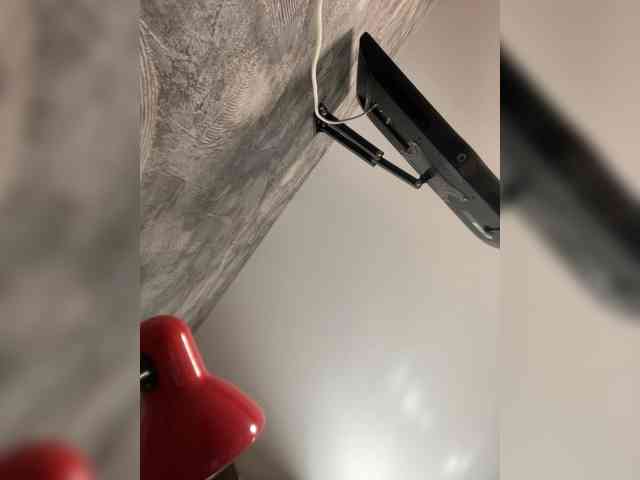 _Alexandra_ webcam
