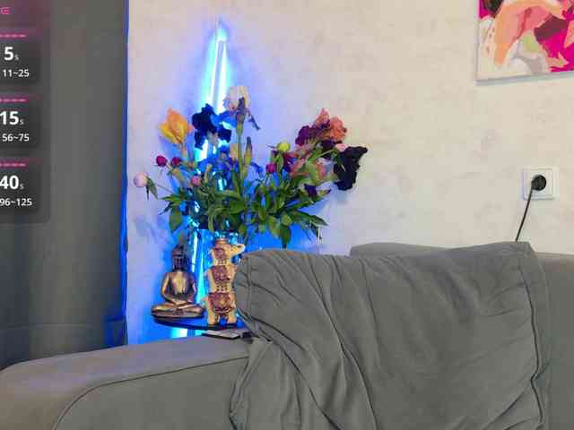 _Shanti_ webcam