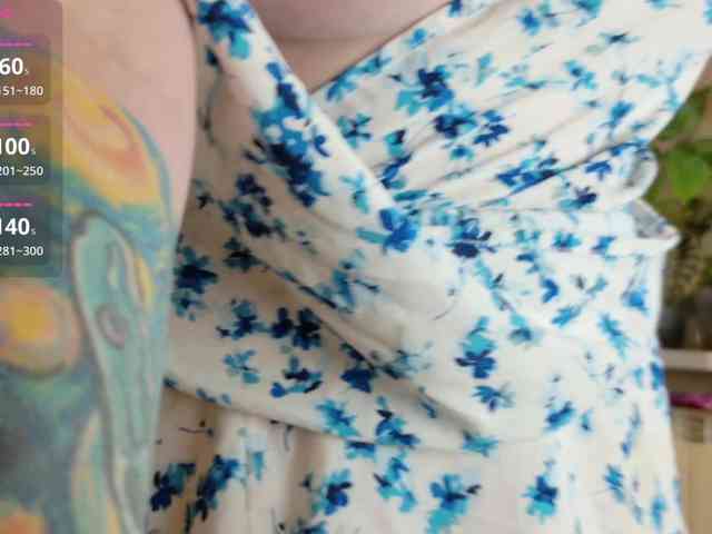 _Shanti_ webcam