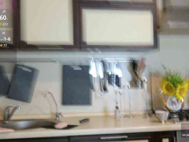 _Shanti_ webcam