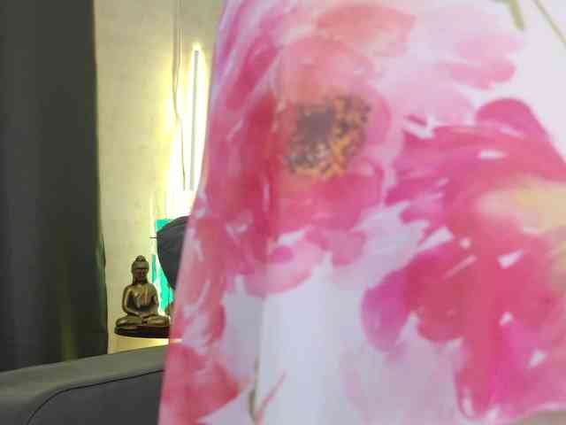 _Shanti_ webcam