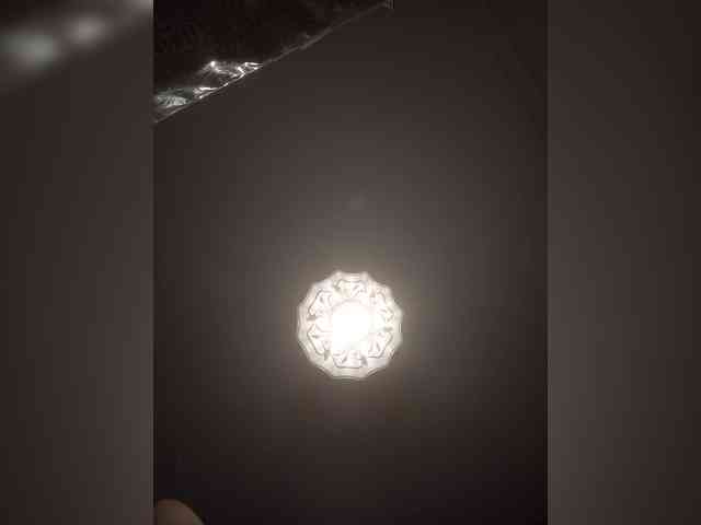 LunaRex webcam