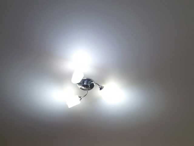 Fox-Lisa's BongaCams show and profile