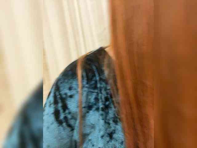 QueenFoxyLiza webcam