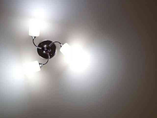 QueenFoxyLiza webcam