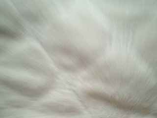 Neznakomka44 Porn Show