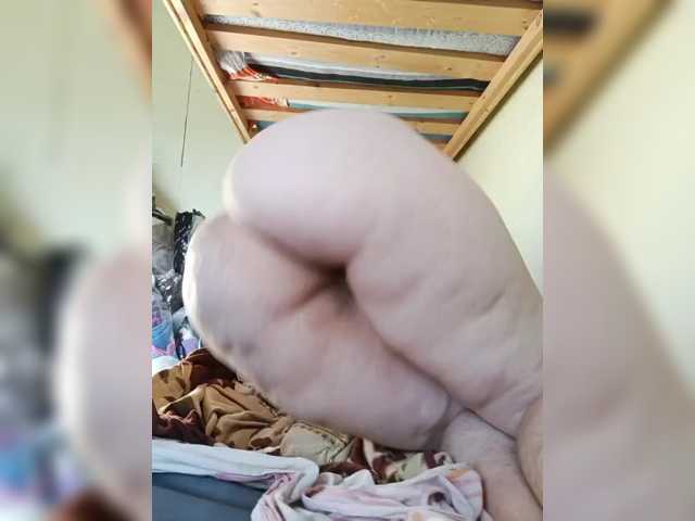SG-310