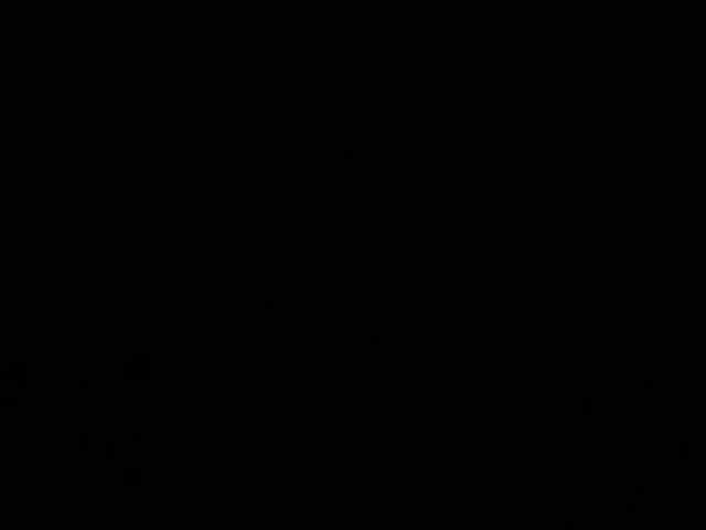 igarigo595