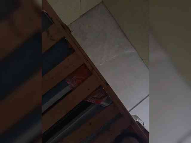SG-310 webcam