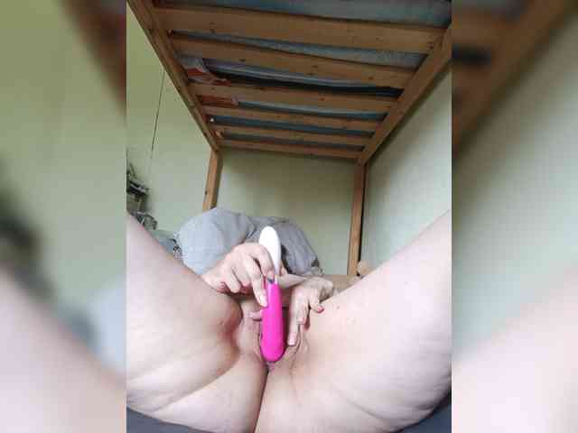 SG-310 webcam