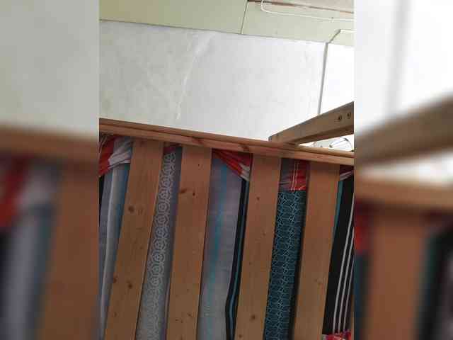 igarigo595 Sex Cam Show