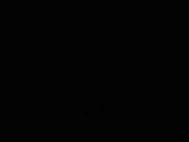 igarigo595