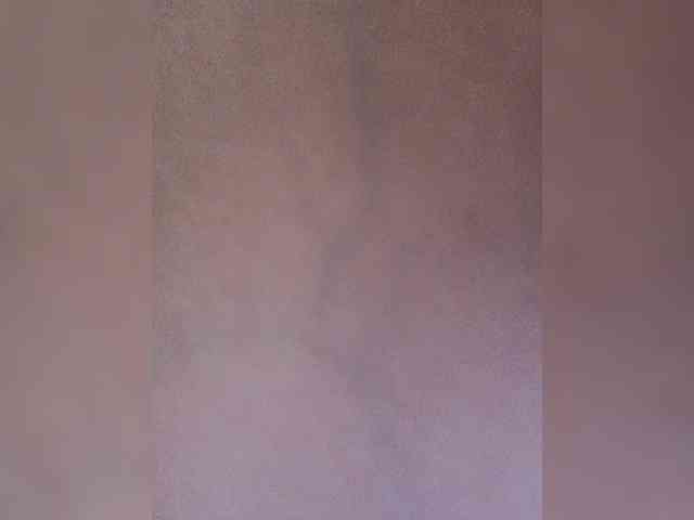 SG-310 webcam