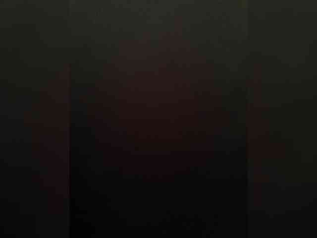 SG-310 webcam