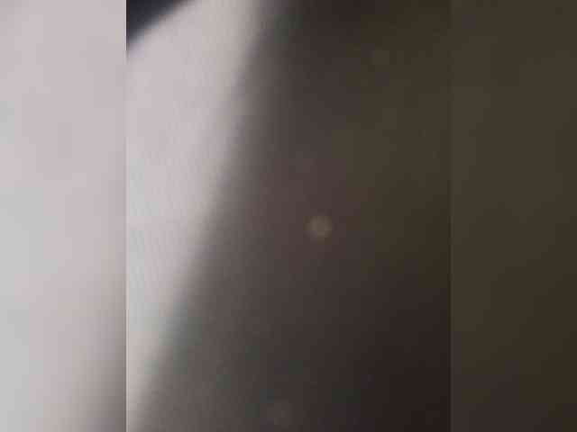 SG-310 webcam
