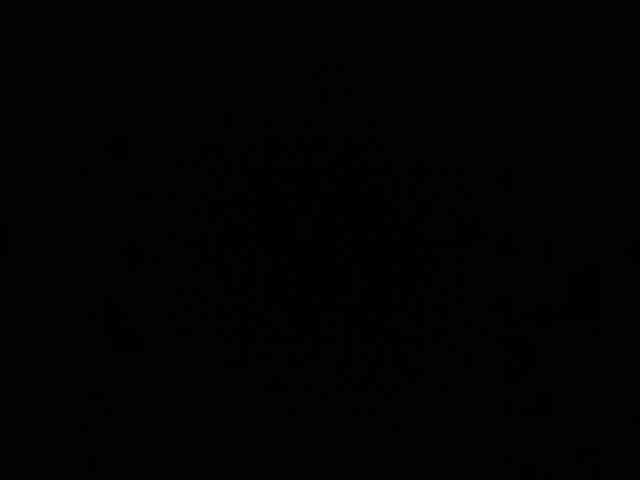igarigo595