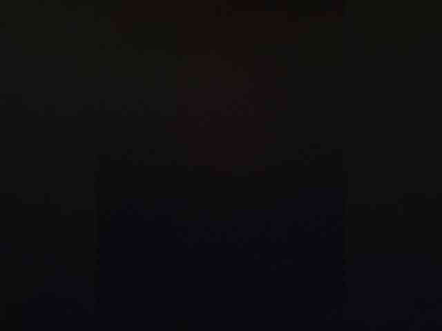SG-310 webcam