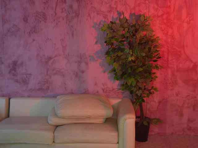 Ana_bella054 webcam