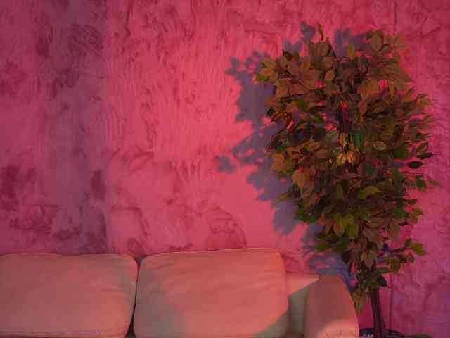 Ana_bella054 webcam