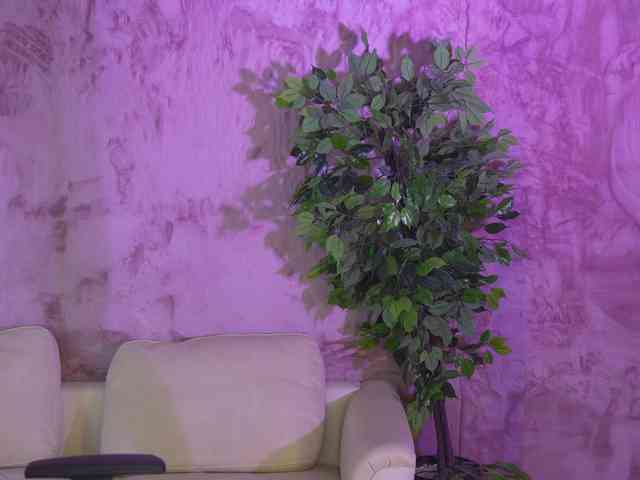 Ana_bella054 webcam