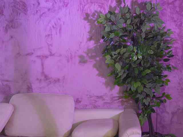 Ana_bella054 webcam