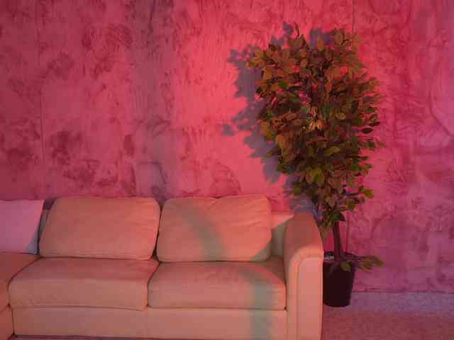 Ana_bella054 webcam