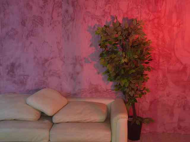 Ana_bella054 webcam