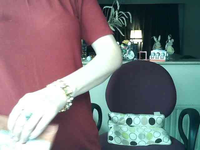 UllimOhi webcam
