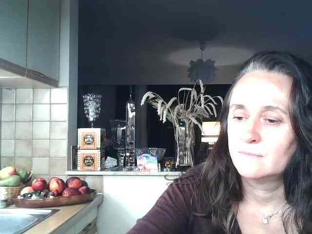 UllimOhi webcam