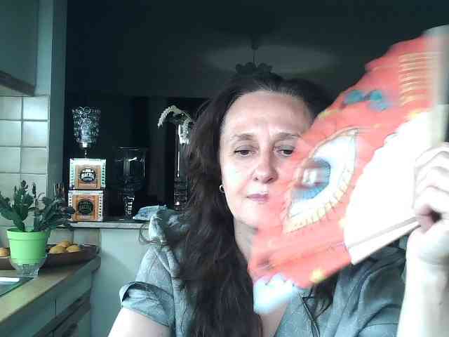 UllimOhi webcam